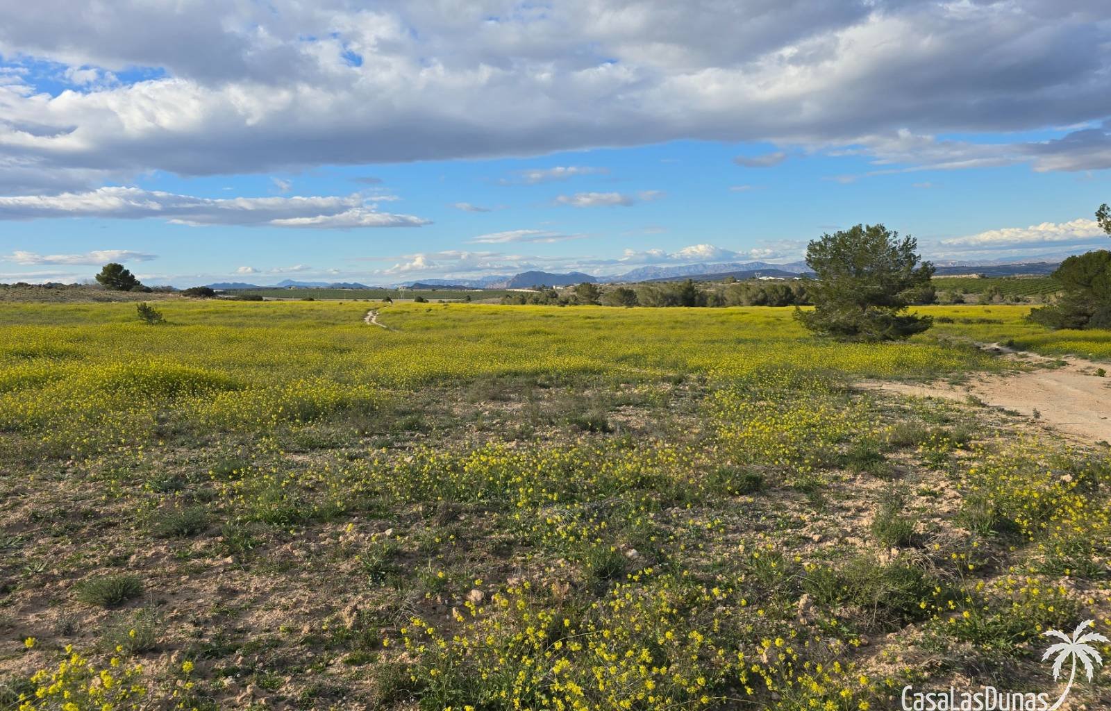  Wir bieten Ihnen eine komfortable und bestens ausgestattete Unterkunft, ideal für einen erholsamen Urlaub oder als dauerhafter Wohnsitz. Das Objekt b