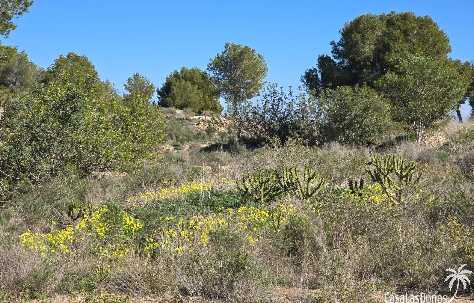  Wir bieten Ihnen eine komfortable und bestens ausgestattete Unterkunft, ideal für einen erholsamen Urlaub oder als dauerhafter Wohnsitz. Das Objekt b