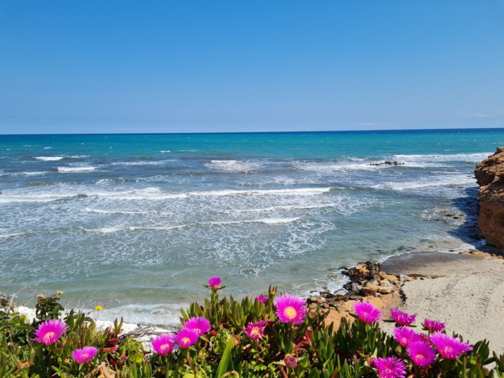  Entdecken Sie gehobenes mediterranes Wohnen in diesem wunderschön gepflegten Penthouse-Apartment mit Südwestausrichtung in der begehrten Wohnanlage G