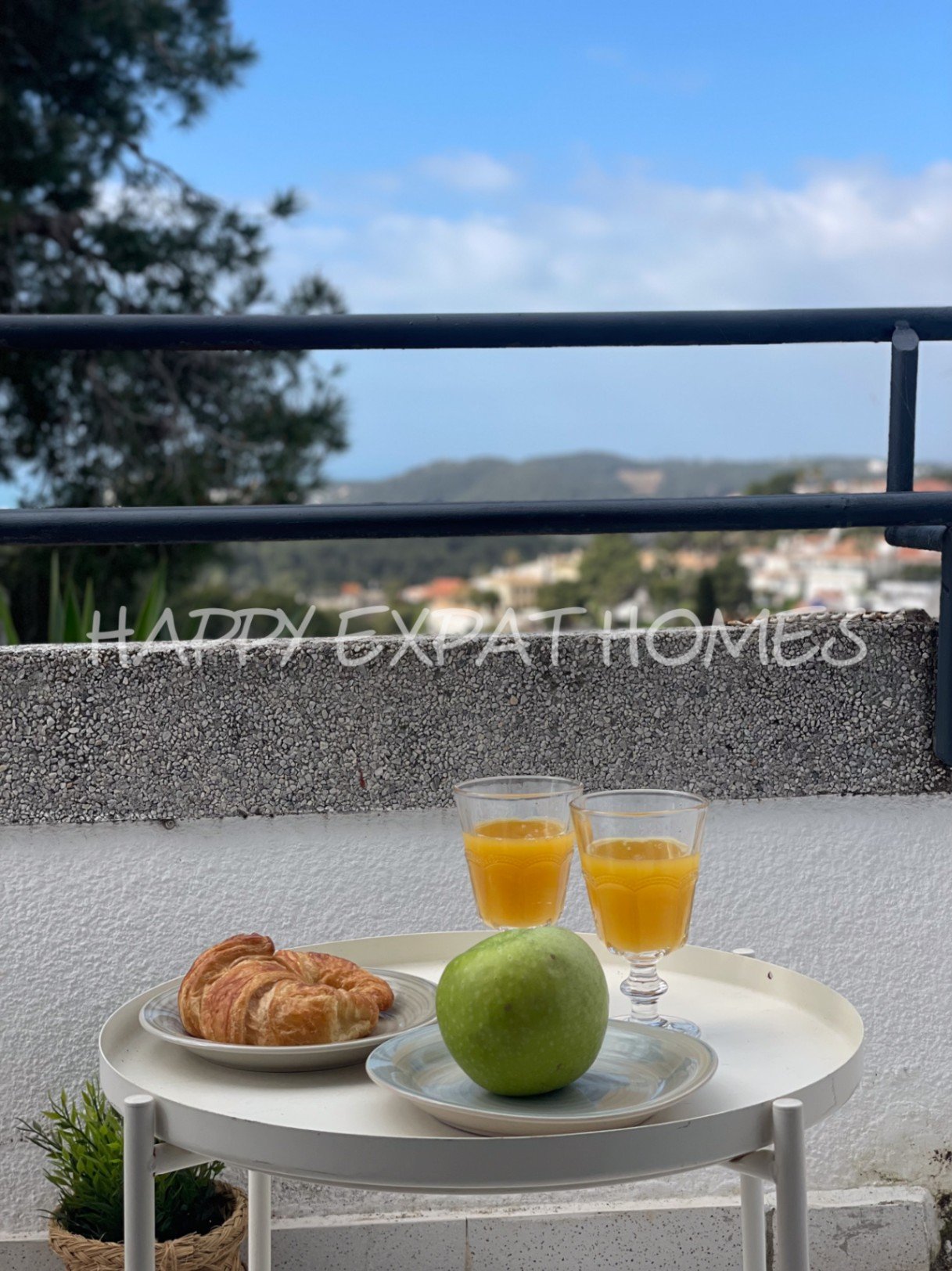 Unglaubliches Doppelhaus mit TOURISTISCHER LIZENZ und privatem Wald. Mit ein wenig Liebe und einigen Renovierungen hat diese Immobilie das Potenzial, 