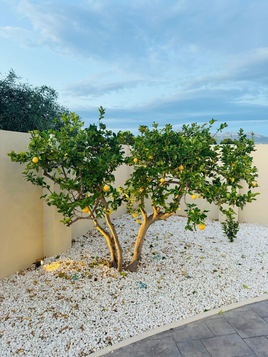 Located in the peaceful and highly sought-after area of Pueblo–Urbanizaciones, Alfaz del Pi, this stunning villa offers the perfect balance of tranq