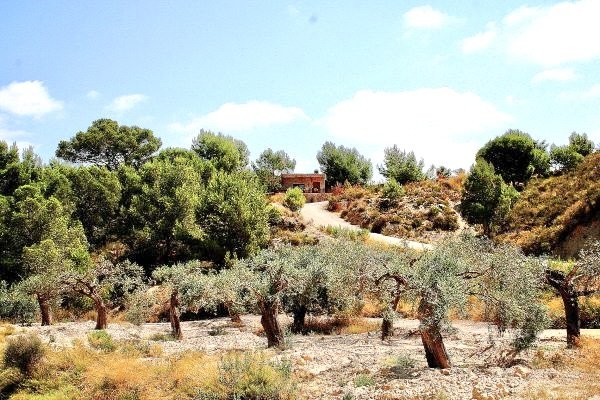 Willkommen im Glücklichen Wohnen in MurciaErleben Sie den Charme des Landlebens in diesem prächtigen Landhaus, das in der lebendigen Gegend Costa Bla