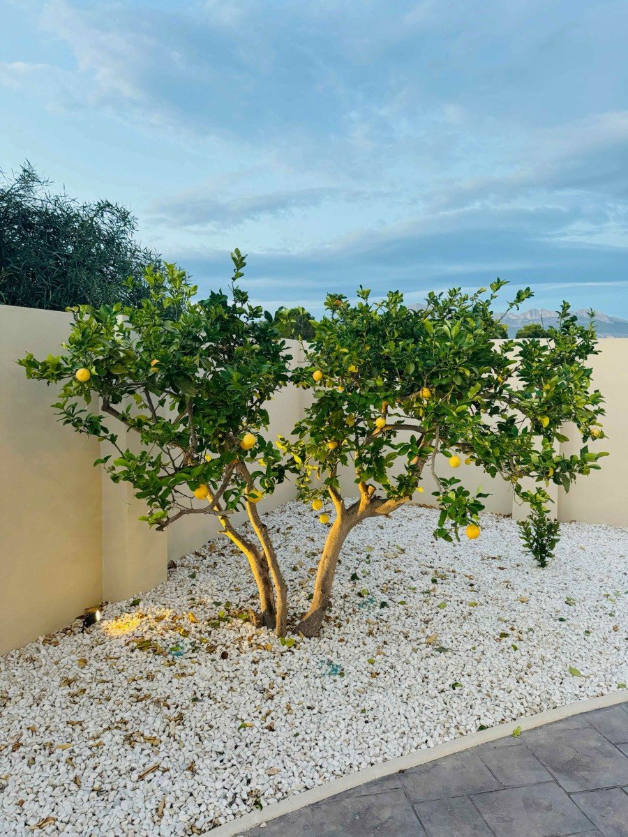 Located in the peaceful and highly sought-after area of Pueblo–Urbanizaciones, Alfaz del Pi, this stunning villa offers the perfect balance of tranq