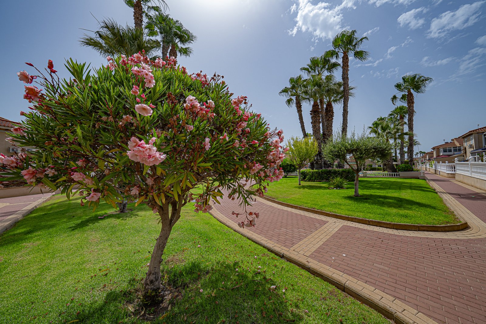 Charmante Erdgeschosswohnung in der beliebten Urbanisation Zenia Mar II in Playa Flamenca. Die Wohnung erstreckt sich über eine Etage, bietet eine Wo