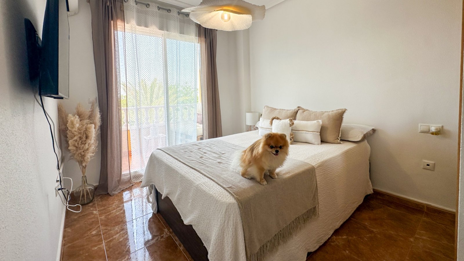 Renovierte Wohnung in der Nähe des Yachthafens Guardamar del Segura zu verkaufen.

Diese renovierte 2-Zimmer-Wohnung mit 2
