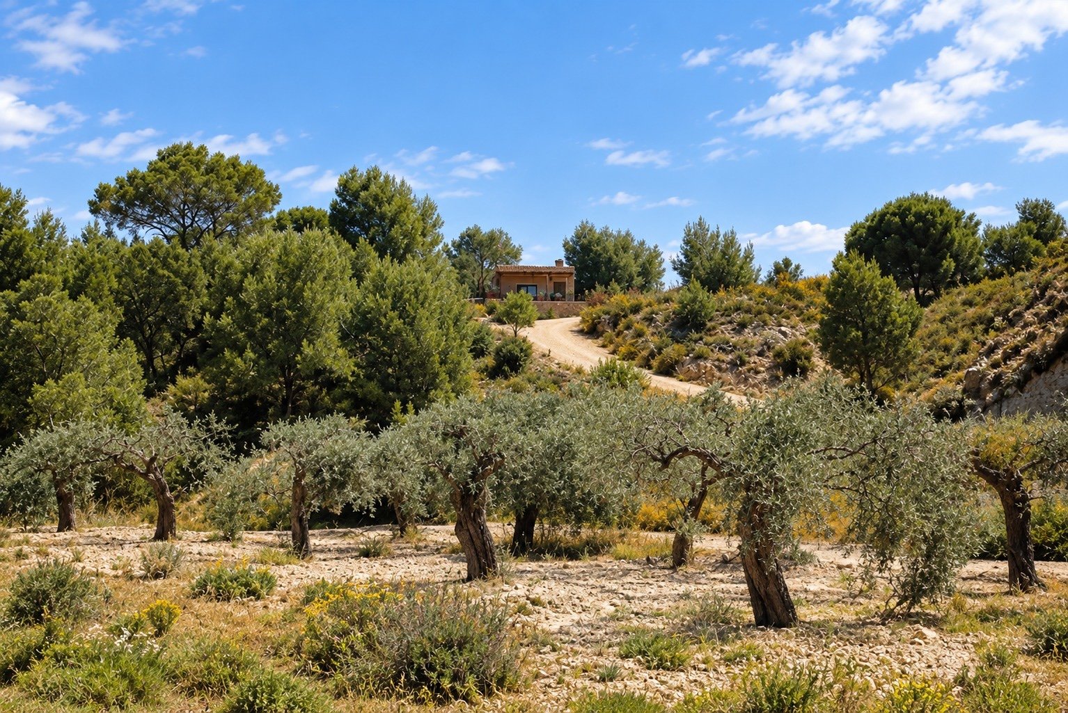  Willkommen im Glücklichen Wohnen in MurciaErleben Sie den Charme des Landlebens in diesem prächtigen Landhaus, das in der lebendigen Gegend Costa Bla
