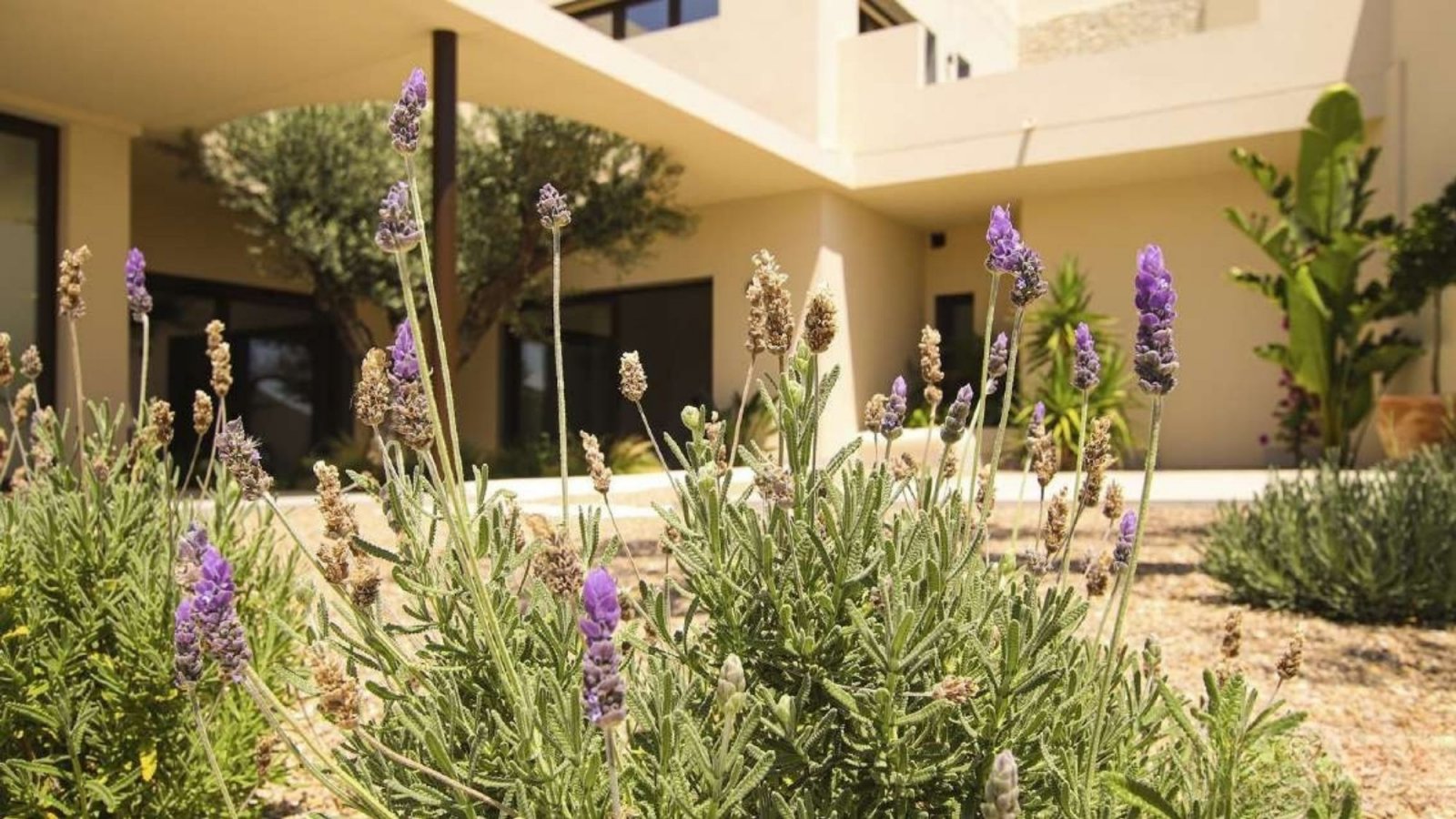  In der charmanten Gegend von La Marina gelegen, bietet diese Villa ein außergewöhnliches Wohnerlebnis. Mit einem modernen und eleganten Design ist di