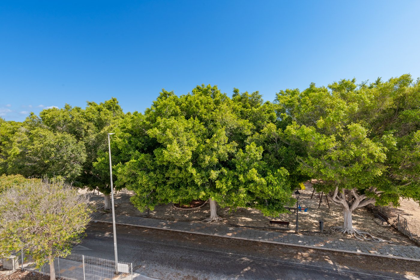 Im charmanten Ort Mil Palmeras gelegen, bietet dieses Ensemble freistehender Chalets eine einzigartige Gelegenheit, das Leben an der Costa Blanca zu