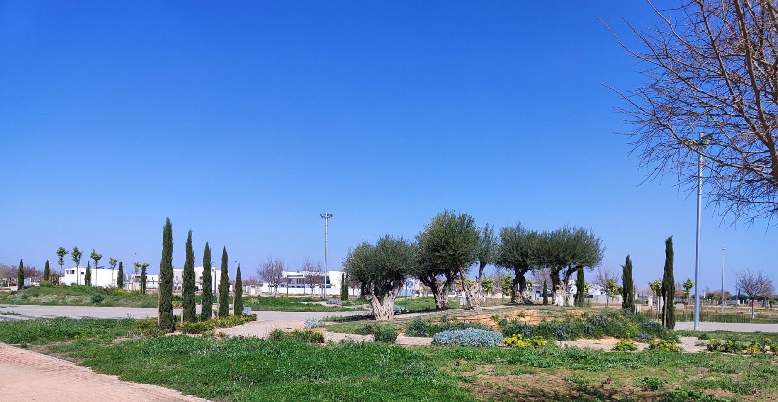 NEU GEBAUTE PENTHÄUSER IN TORRE-PACHECO Neue Wohnanlage mit Wohnungen in Torre Pacheco (Murcia) im Herzen der Costa Cálida. Die zweite Ph