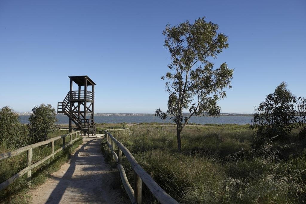 Neue Wohnsiedlung in San Miguel de Salinas
Exklusive Wohnungen in einer einzigartigen natürlichen Umgebung
Entdecken Sie dieses neue Pro