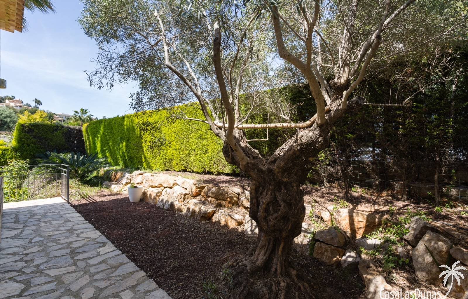Diese wunderschöne Villa liegt auf der Südseite des Berges La Sella und ist ideal für diejenigen, die einen erholsamen und ruhigen Urlaub verbringen