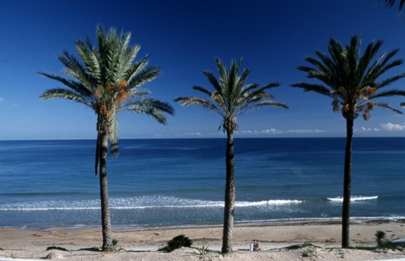 *Werden Sie noch heute Mitglied im 1 % CLUB! Kaufen Sie diese Immobilie und erhalten Sie einen Geschenkgutschein!*
Exklusive Neubaubungal