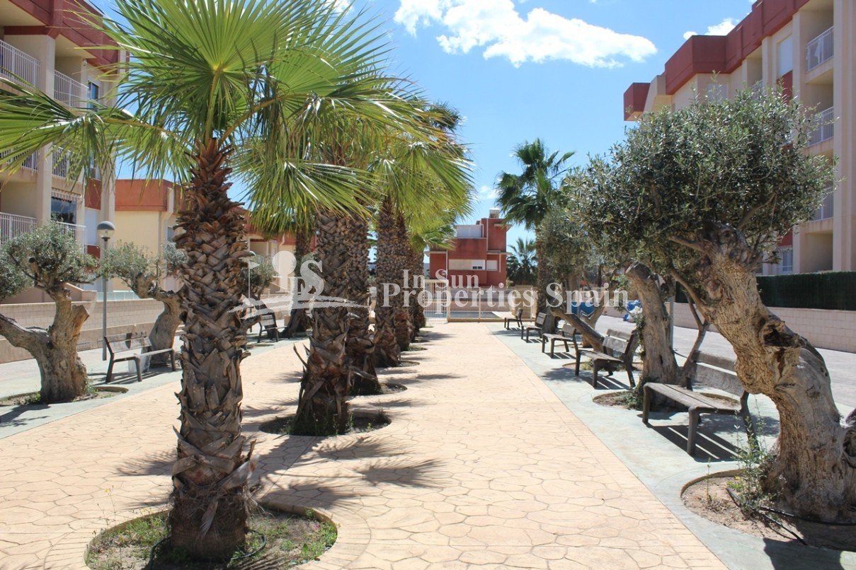 Renovierter Wohnkomplex in Lomas de Cabo Roig – nur 2 km vom Strand entfernt!
Inklusive Haushaltsgeräte und Klimaanlage.
Entdecken Sie