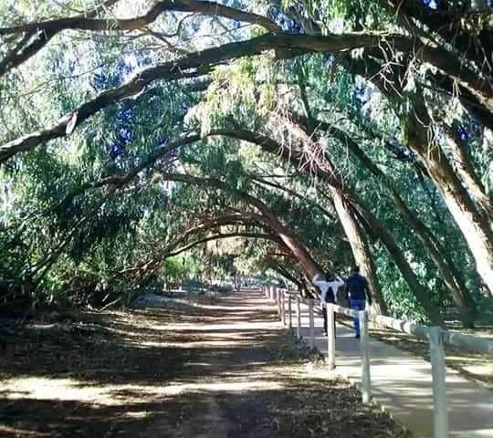 Neue Wohnsiedlung in Torrevieja, nur 1 km vom Meer entfernt
Moderne Wohnungen mit 2 und 3 Schlafzimmern
Diese neue Wohnanlage befindet