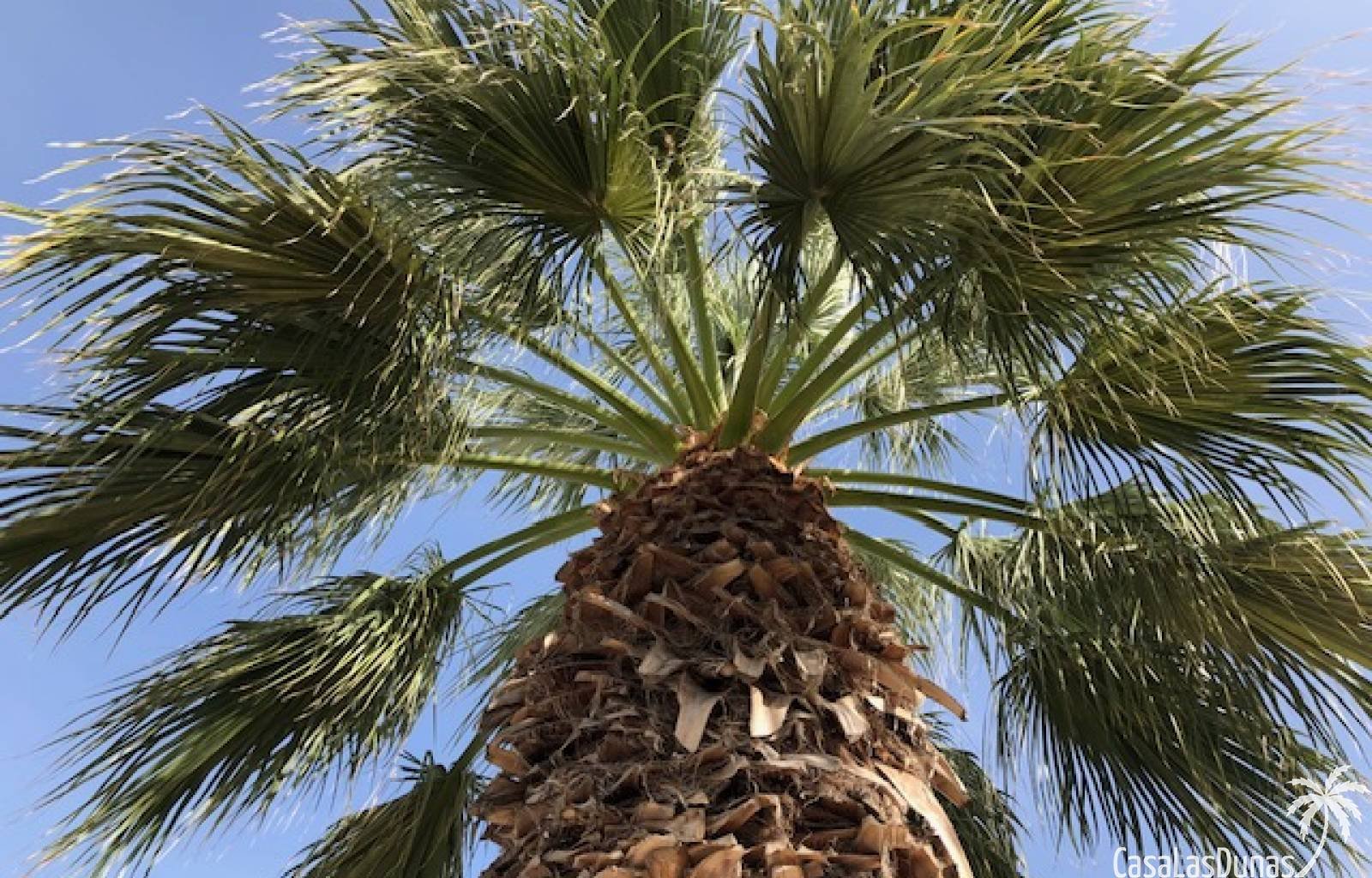 Dieses wunderschön renovierte Haus bietet die ideale Unterkunft für einen unvergesslichen Urlaub mit Familie oder Freunden. Das Haus erstreckt sich ü