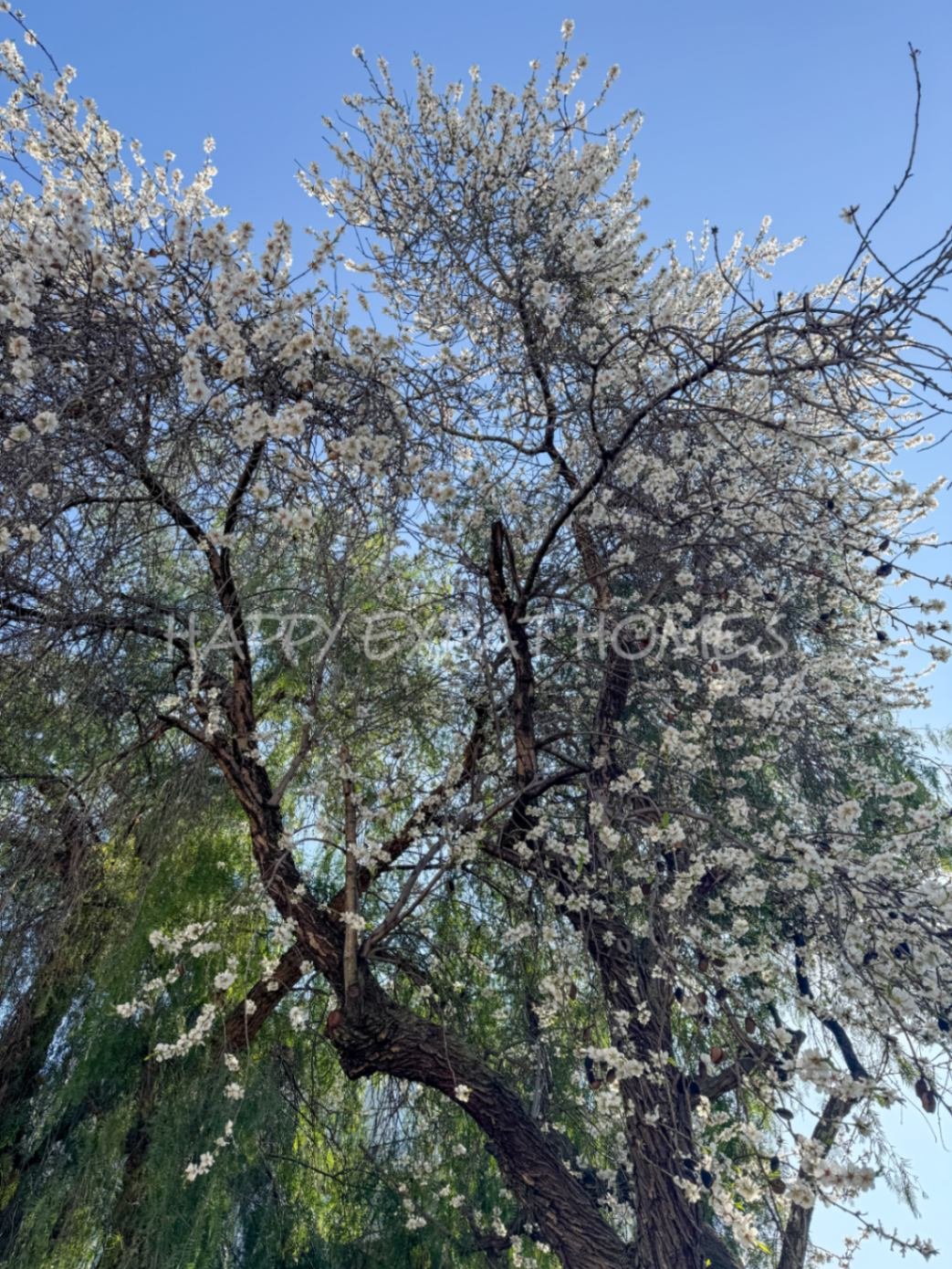 Dieses moderne Haus im mediterranen Stil, das 2024 neu renoviert wurde, befindet sich im Herzen von Sitges, nur einen kurzen Spaziergang von der Aveni