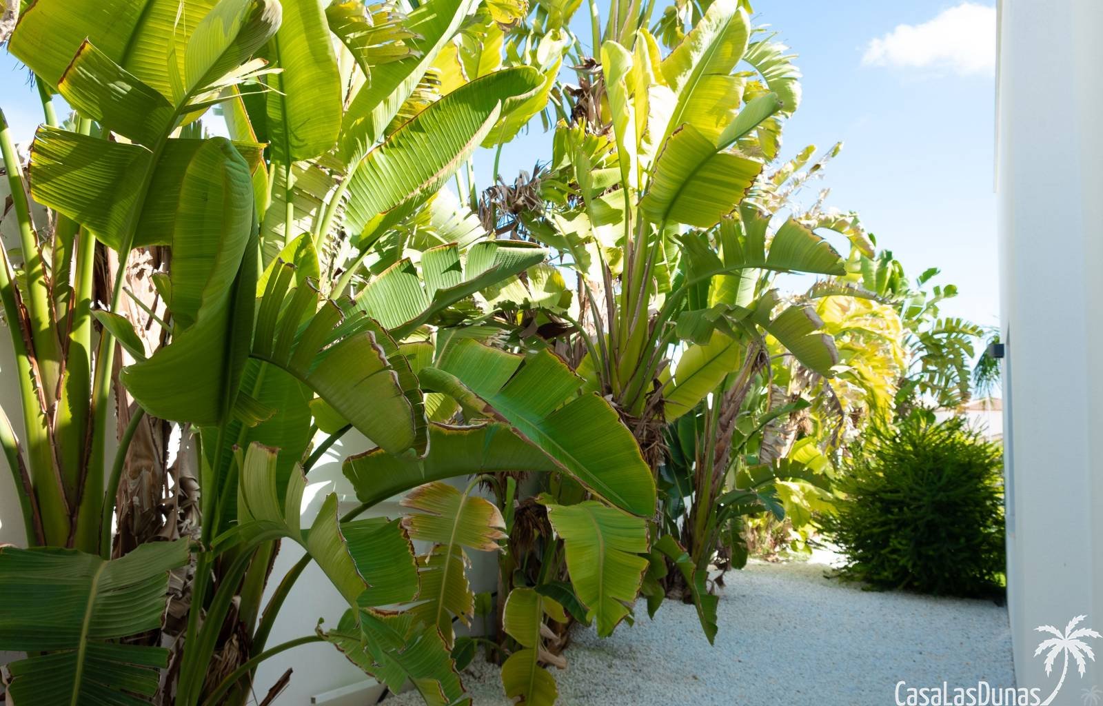 **Angebot: Luxus-Ferienvilla in La Marina**
 Bei diesem Objekt erhalten Sie bei Anreise innerhalb von 2 Wochen 10 % Rabatt, sofern es noch verfügbar