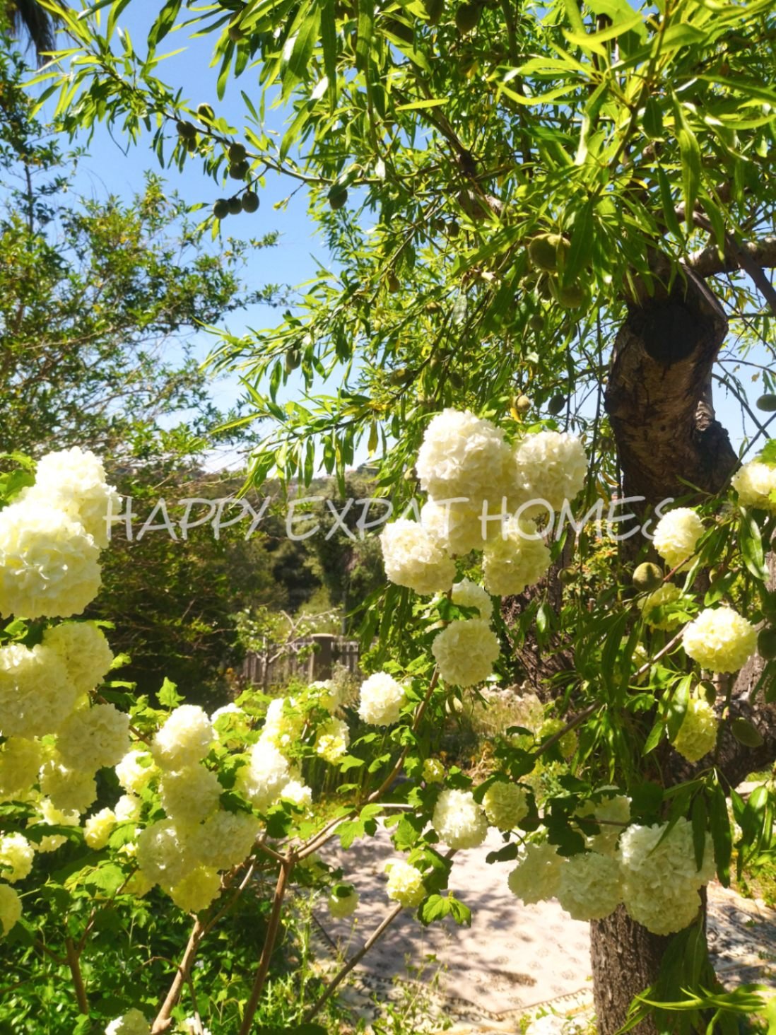 Für ein Paar oder eine alleinstehende Person, die das Leben in der Natur liebt und auf der Suche nach einem ganz besonderen und gemütlichen Ort ist, i