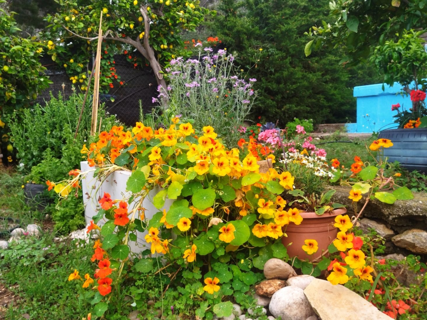 Für ein Paar oder eine alleinstehende Person, die das Leben in der Natur liebt und auf der Suche nach einem ganz besonderen und gemütlichen Ort ist, i