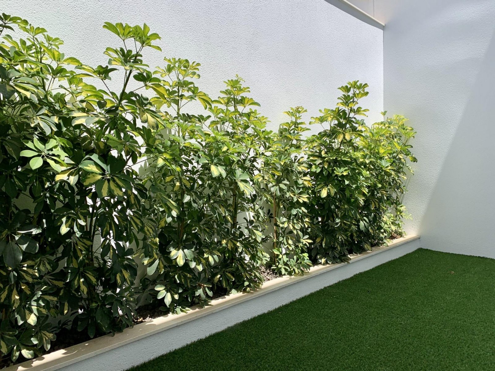 NEUBAU STADTHÄUSER IN LOS ALCAZARES Neubau von Villen und Stadthäusern in Serena Golf, Los Alcazares. Moderne Stadthäuser mit 3 Schlafzim