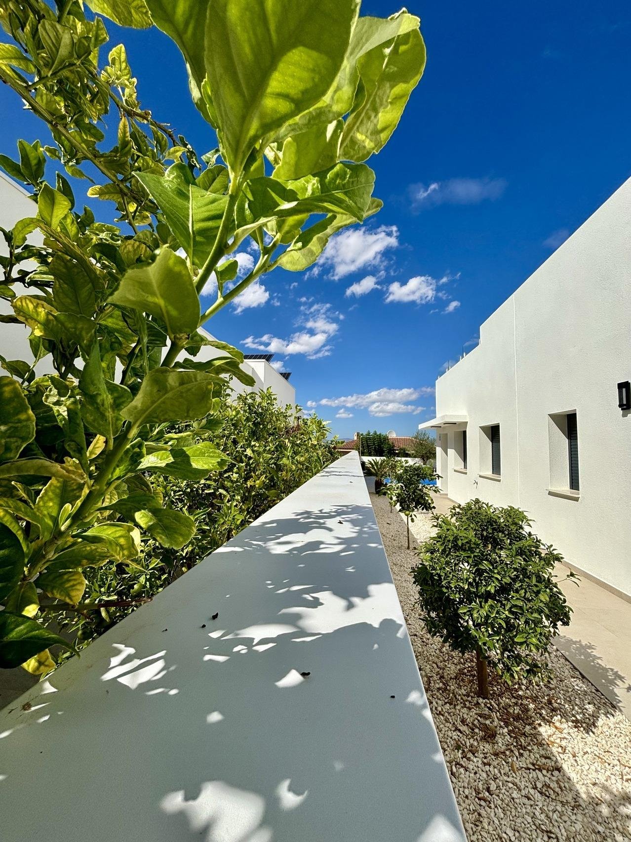 Neubau mediterraner Villen in Benijófar
Moderne und stilvolle Villen in Benijófar
Am Rande der charmanten Stadt Benijófar gelegen, biete