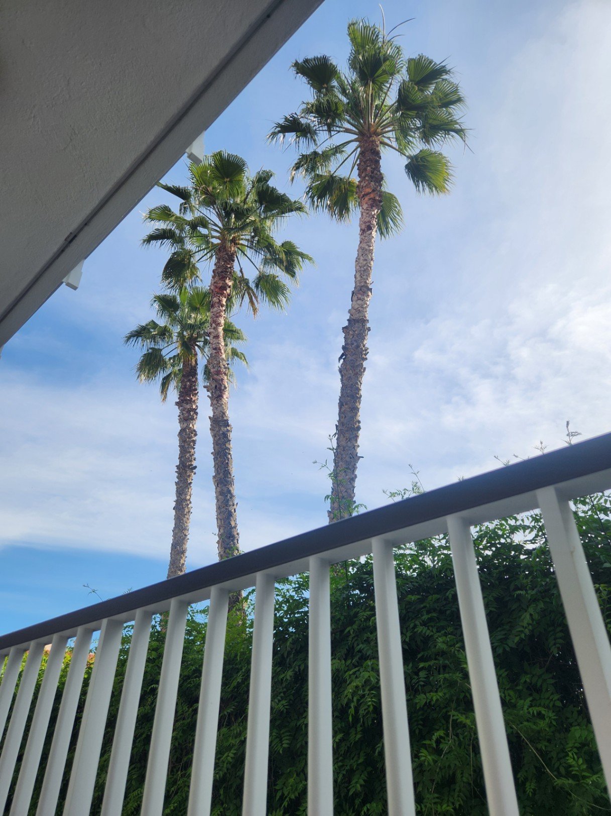 Diese Eckwohnung ist lichtdurchflutet und mit Eichenparkett, Fußbodenheizung sowie hochwertigen Schall- und Wärmeisolierungen ausgestattet. Große dopp