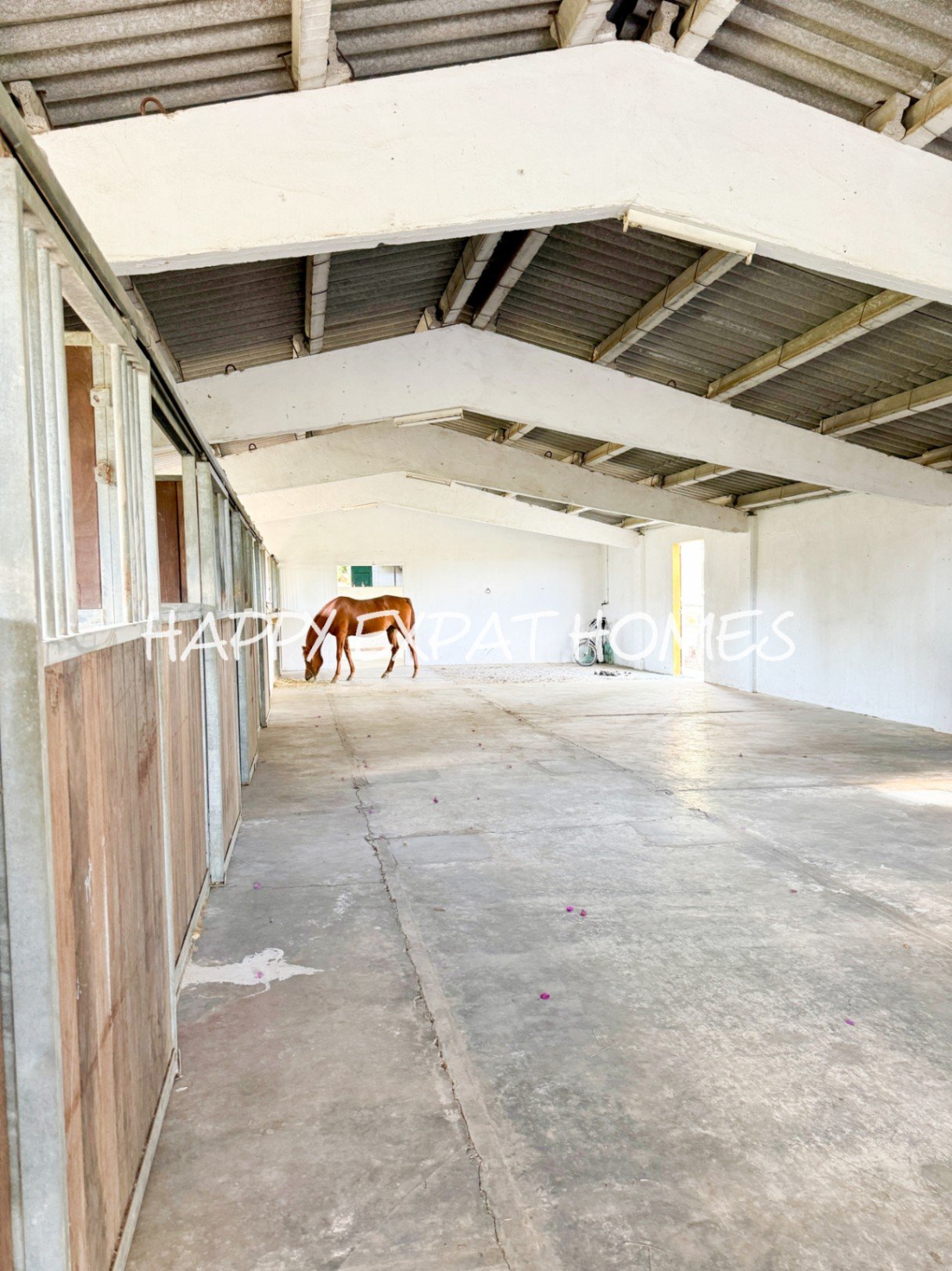 Dieses absolut atemberaubende, modernisierte Landhaus ist in natürliches Licht getaucht und verfügt über hohe Fenster, einen Salzwasserpool, Pferdestä