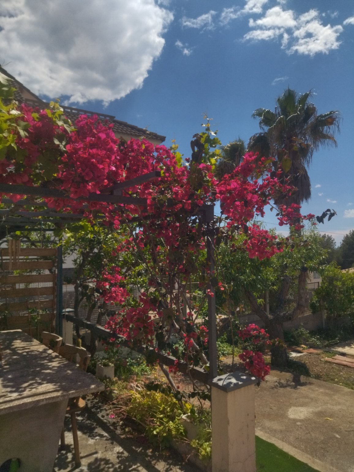 Für ein Paar oder eine alleinstehende Person, die das Leben in der Natur liebt und auf der Suche nach einem ganz besonderen und gemütlichen Ort ist, i