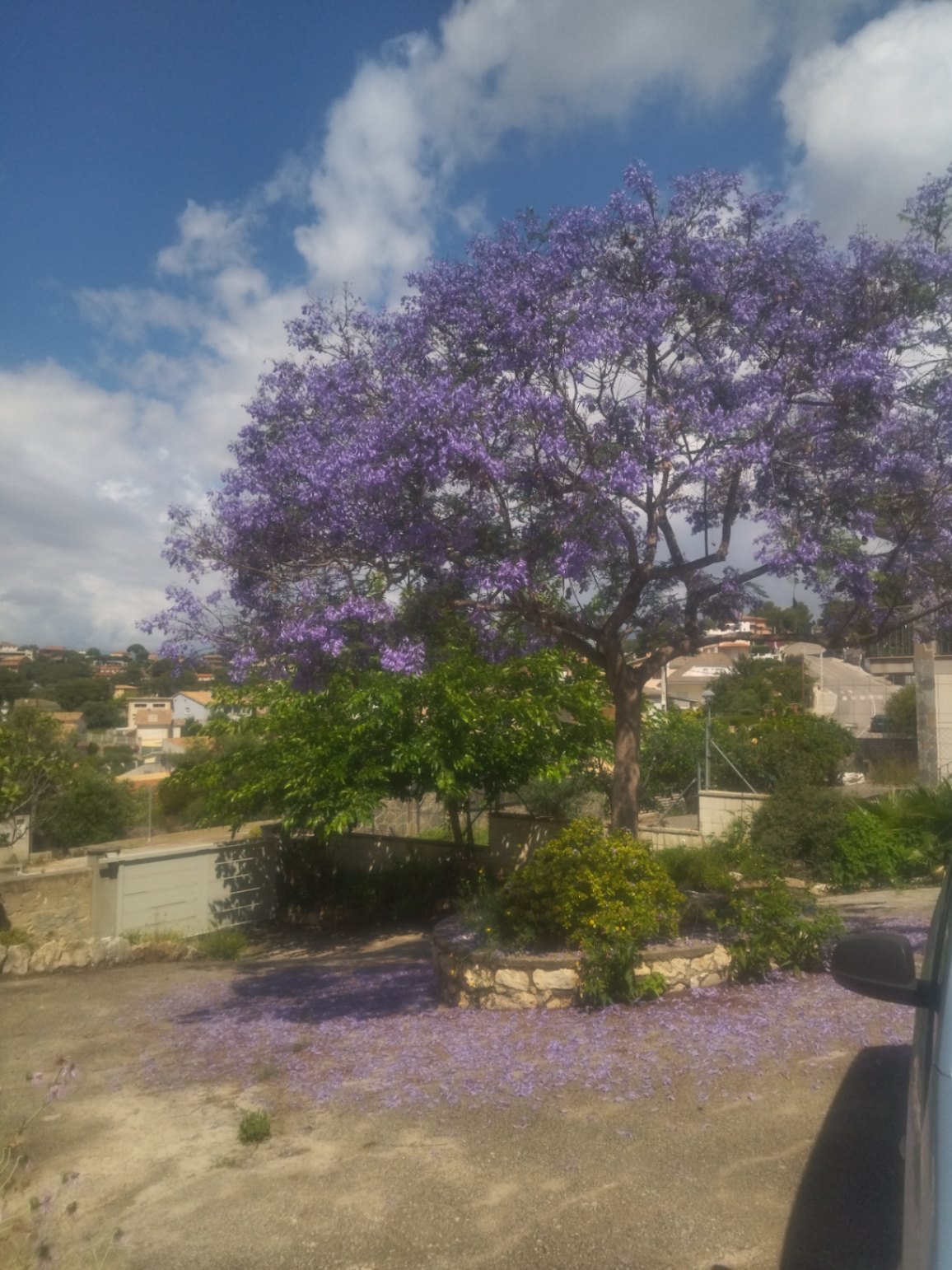 Für ein Paar oder eine alleinstehende Person, die das Leben in der Natur liebt und auf der Suche nach einem ganz besonderen und gemütlichen Ort ist, i