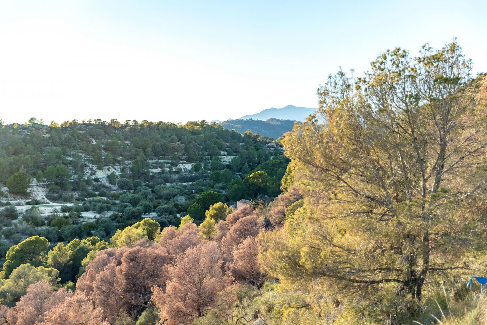  In der charmanten Stadt Finestrat gelegen, bietet diese Residenz eine exklusive Auswahl von 10 Immobilien, darunter Apartments und Penthäuser. Entwor