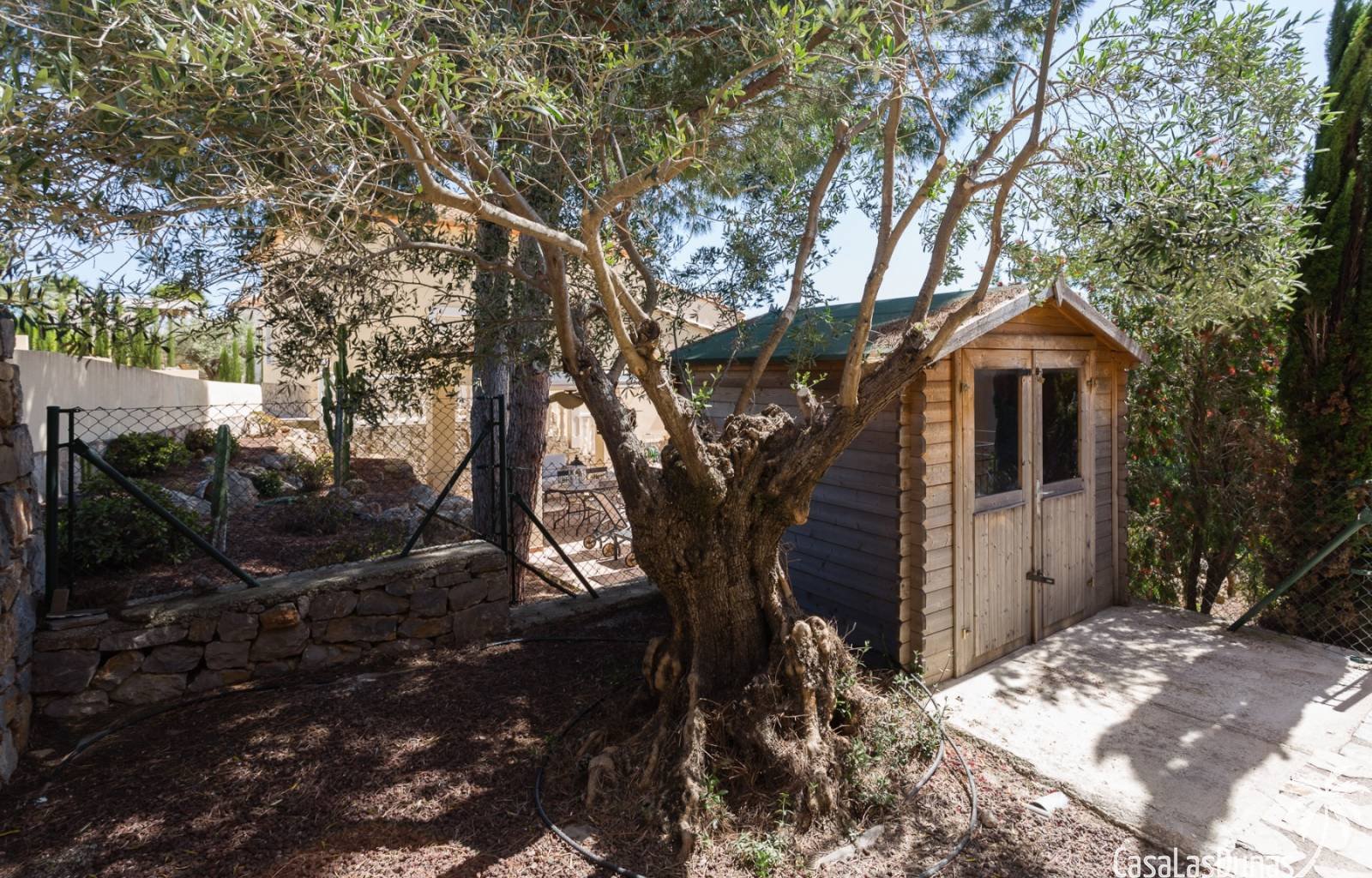 Diese wunderschöne Villa liegt auf der Südseite des Berges La Sella und ist ideal für diejenigen, die einen erholsamen und ruhigen Urlaub verbringen