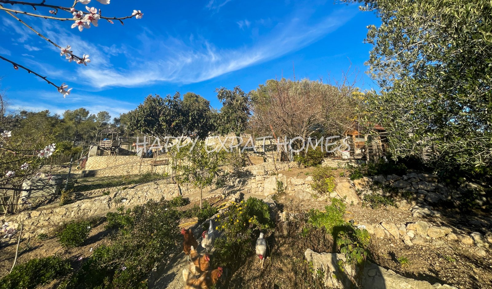 Dieses charmante große Haus in den Hügeln von Sitges hat den ganzen Tag Sonne und eine herrliche Aussicht von einer der Terrassen oder von einer Bank 