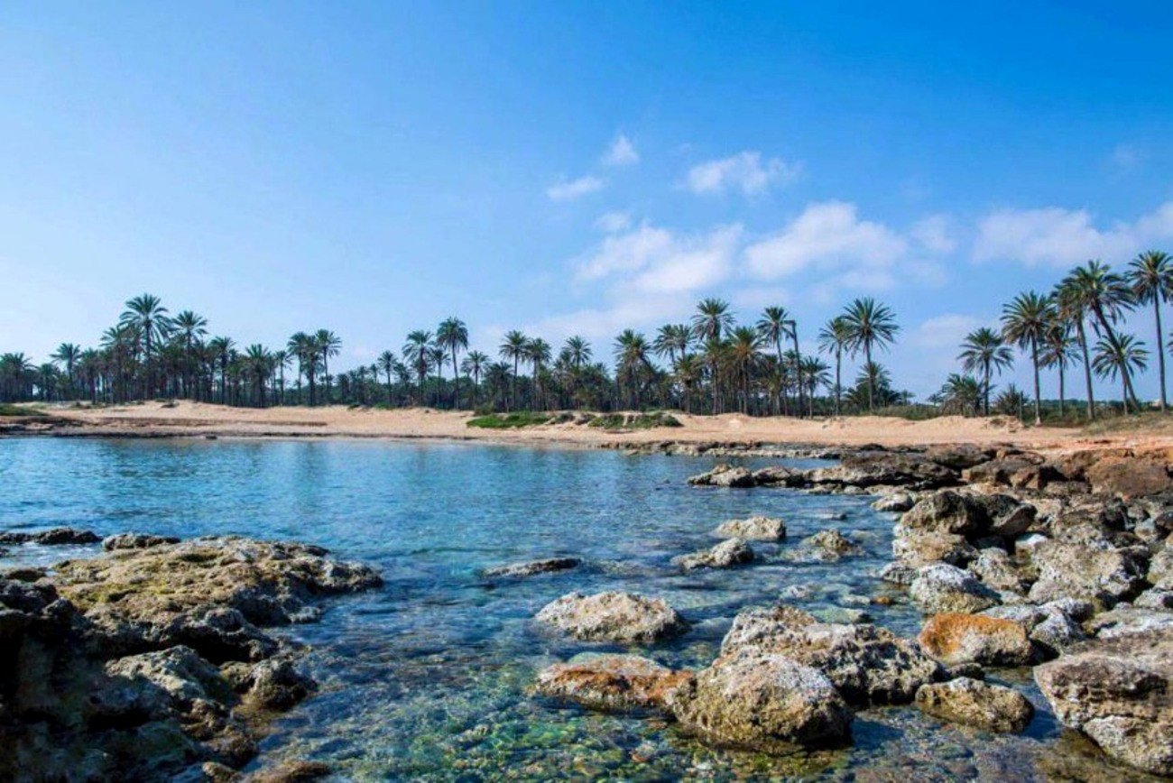  Sehr schöne und gepflegte 135 m² große Villa auf einem Eckgrundstück in der beliebten Gegend Los Dolses Villamartin. Das nach Südwesten ausgerichtete