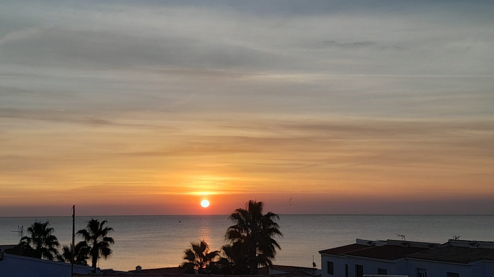 WOW!! Spektakuläre Penthouse-Wohnung direkt am Meer mit herrlichem Meerblick in Playa Flamenca Beach! Dieses 1-Schlafzimmer (ursprünglich 2 Schlafzi