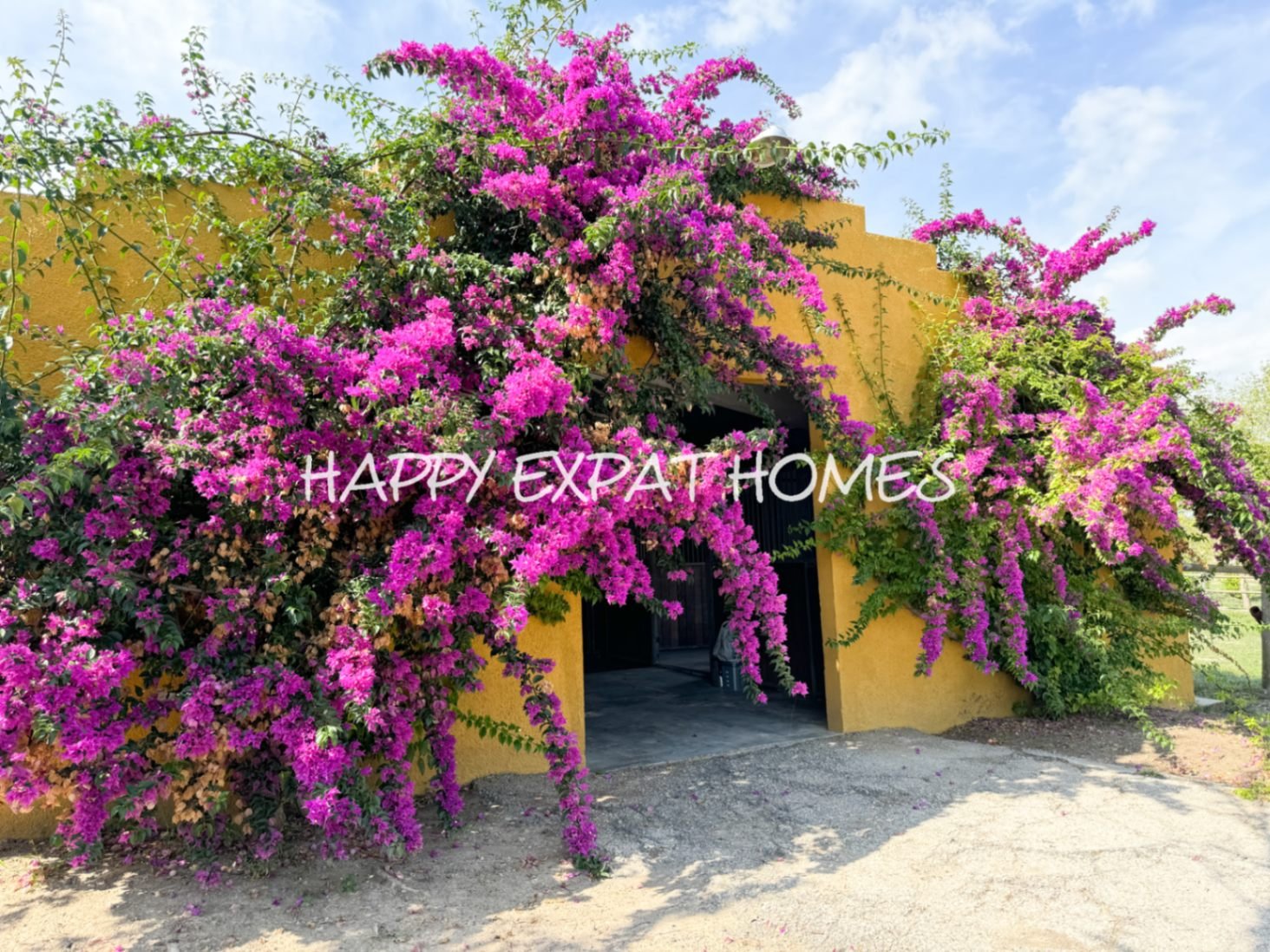 Dieses absolut atemberaubende, modernisierte Landhaus ist in natürliches Licht getaucht und verfügt über hohe Fenster, einen Salzwasserpool, Pferdestä