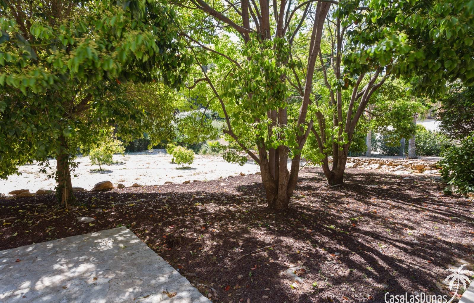 Diese wunderschöne Villa liegt auf der Südseite des Berges La Sella und ist ideal für diejenigen, die einen erholsamen und ruhigen Urlaub verbringen